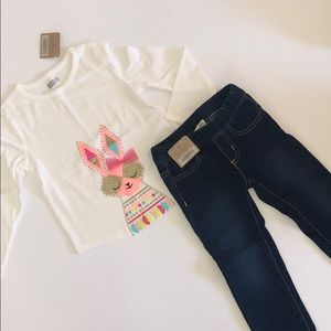NWT Crazy 8 Toddler Girls Outfit